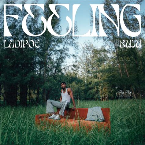 feelings song download mp3|feeling by ladipoe mp3 download.